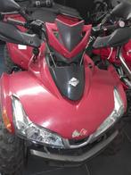 Quad SYM 200 (permis voiture ), Motoren