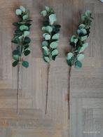 Lot de plantes artificielles fleurs type Eucalyptus, Comme neuf, Intérieur, Enlèvement ou Envoi