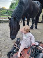 Fell pony, Dieren en Toebehoren