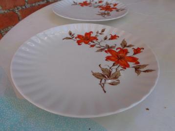 16 Dessertbordjes oranje bloem Bavaria 19 cm