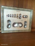 Ingelijste presentatie van oesters en gekweekte parels., Antiek en Kunst, Ophalen of Verzenden