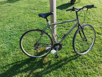 Riverside 3.1 herenfiets, Fietsen en Brommers, Ophalen