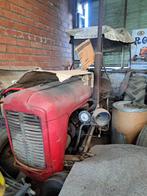 massey Ferguson te koop wegens overlijden, Zakelijke goederen, Landbouw | Tractoren, Ophalen, Oldtimer, Massey Ferguson