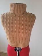 Trui / bodywarmer - maat M, Kleding | Dames, Ophalen of Verzenden, Maat 38/40 (M), Beige