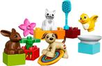 LEGO DUPLO 10838 Les animaux de compagnie, Comme neuf, Duplo, Ensemble complet, Enlèvement ou Envoi