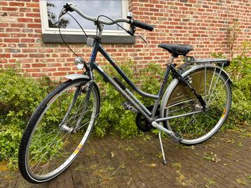 Norta kleine maat beschikbaar voor biedingen