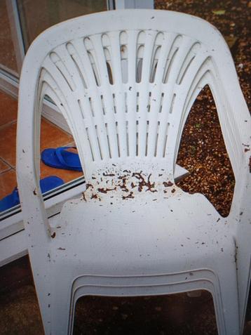2 tuinstoelen beschikbaar voor biedingen
