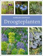 Boek Droogteplanten Aurelien Daroux, Nieuw, Ophalen of Verzenden, Tuinieren en Tuinplanten