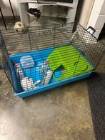 Grote hamster/Caviakooi!, Dieren en Toebehoren, Ophalen, Zo goed als nieuw