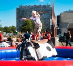 rodeo stieren, Verzenden