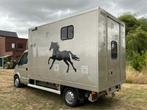 2006 Renault Master paardenvrachtwagen, Dieren en Toebehoren, Gebruikt, Overige typen