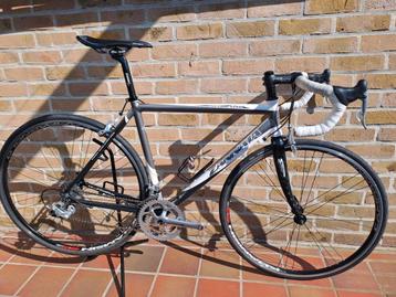 Vélo de route élégant pour débutants Zannata U6.2 Roadracer 