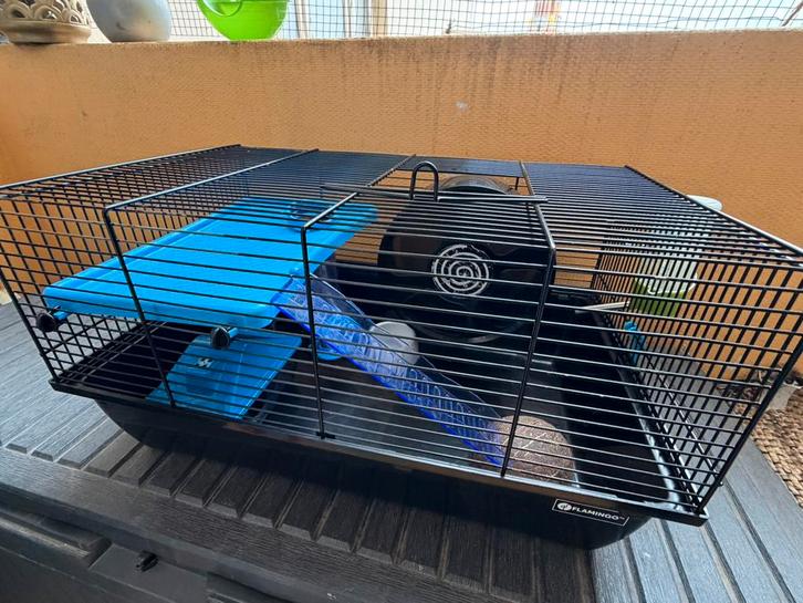 Cage Flamingo pour rongeur, mini hamster… complet, Animaux & Accessoires, Rongeurs & Lapins | Cages & Clapiers, Comme neuf, Cage