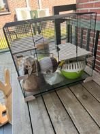 Hamsterkooi met toebehoren, Dieren en Toebehoren, Gebruikt, Ophalen, Minder dan 60 cm, Minder dan 75 cm