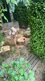 Stammen hout, Tuin en Terras, Brandhout, Ophalen of Verzenden, Stammen