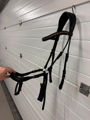 hoofdstel paard beschikbaar voor biedingen