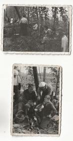 hop teelt regio asse aalst 1956 2 echte foto's, Gebruikt, Foto, Ophalen of Verzenden, 1940 tot 1960