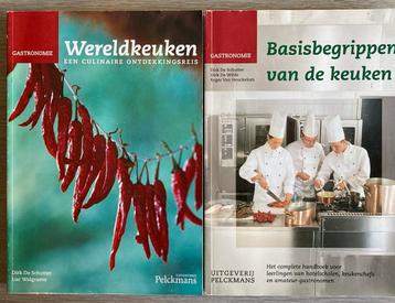 Basisbegrippen van de keuken/Wereldkeuken beschikbaar voor biedingen