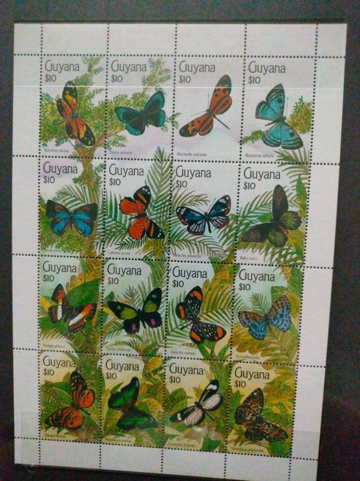 davo album vlinders, Postzegels en Munten, Postzegels | Volle albums en Verzamelingen, Ophalen of Verzenden