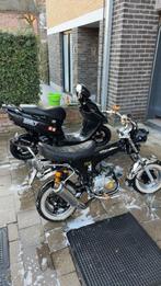 Dax B-klasse, Fietsen en Brommers, Brommers | Honda, Ophalen of Verzenden, Nieuw, Klasse B (45 km/u)