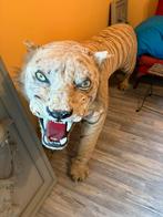Opgezette tijger, Verzamelen, Dierenverzamelingen, Ophalen, Gebruikt, Overige soorten, Opgezet dier