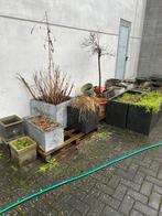 BLOEMBAKKEN, Ophalen, Gebruikt