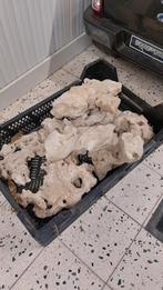 Aquarium stenen!, Enlèvement