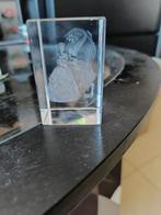 Statue en verre de La Belle et la Bête, Enlèvement