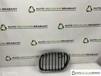 Grille LINKS BMW X5 E53 ('00-'06) 8247673, Autos : Pièces & Accessoires, Carrosserie & Tôlerie, Utilisé, Enlèvement ou Envoi