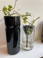 Jardinières à arrosage automatique, Neuf, Moins de 25 cm, Enlèvement, Autres matériaux