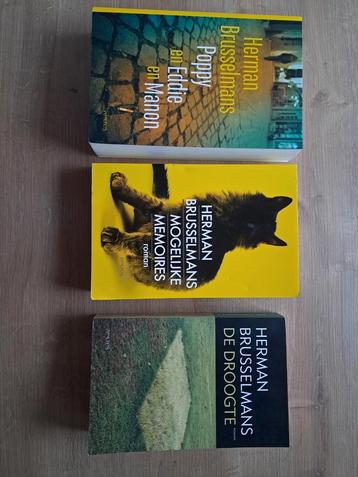 Herman Brusselmans  beschikbaar voor biedingen