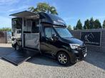 LUXE RENAULT PAARDENWAGEN 2020 ROELOFSEN AUTOMAAT STALLION, Ophalen, Zo goed als nieuw, Aluminium, Overige typen