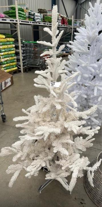 Besneeuwde witte kerstboom van Nauder tree Pelit beschikbaar voor biedingen