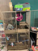 Kooi rat Little Zoo venturer + rad + duna + ...., Ophalen, Gebruikt, 90 cm of meer, 75 tot 110 cm
