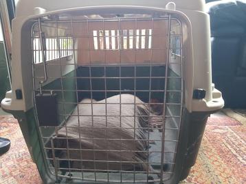 cage pour chien, Enlèvement, Comme neuf
