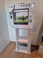 Aquarium Superfish Home 45, Gebruikt, Leeg aquarium