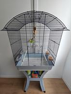 Grande cage avec perruches, Enlèvement