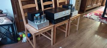 Dual monoblocks van 200w 8ohm rms met buizen beschikbaar voor biedingen