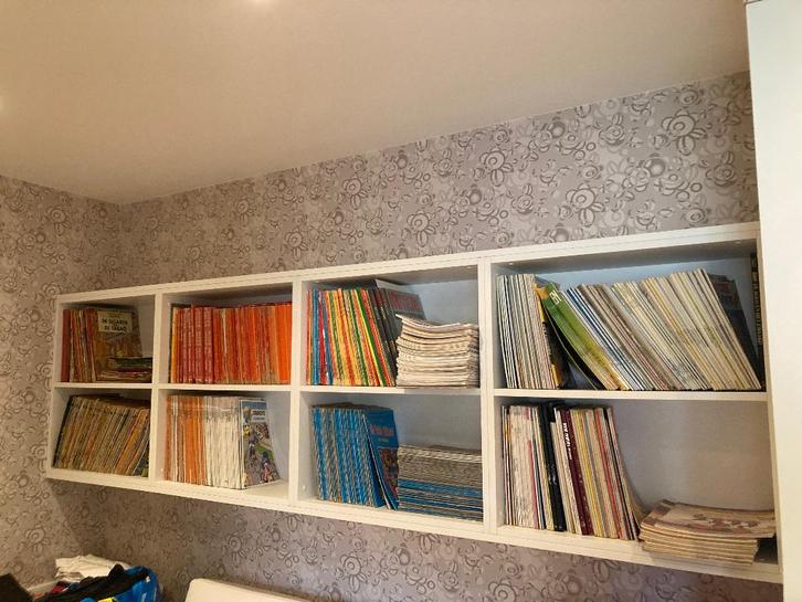 702 stuks voor 450€ ( komt op 64 cent per stuk), Boeken, Stripverhalen, Gelezen, Meerdere stripboeken, Ophalen