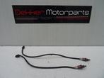 2x Lambdasonde / Lambda sonde Yamaha YZF R6 2017-2018-2024, Motoren, -, -, Nieuw, Ophalen of Verzenden