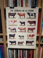 Marcel Broodthaers - Les animaux de la ferme 1998 De Morgen, Ophalen of Verzenden, Zo goed als nieuw