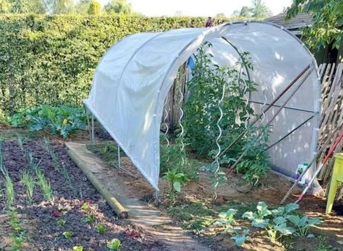 Tunnelserre voor tomaten, Tuin en Terras, Kassen, Gebruikt, Overige materialen, Folie, Ophalen