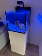 Red Sea Max Nano Peninsula, Dieren en Toebehoren, Ophalen, Zo goed als nieuw
