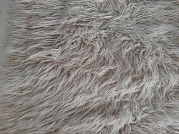 TAPIJT LANGHARIG "MERK DESSO" beschikbaar voor biedingen