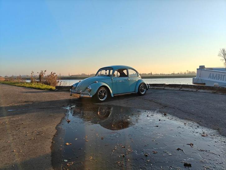 Volkswagen Kever, Auto's, Oldtimers, Bedrijf, Benzine, 2 deurs, Handgeschakeld, Blauw, Kunstmatig leder, Ophalen