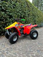Lem cayman 50cc tweetakt quad, Ophalen