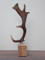 DAMHERT GEWEI op houten sokkel - ref. F, Enlèvement ou Envoi, Neuf, Cerf, Bois ou Tête