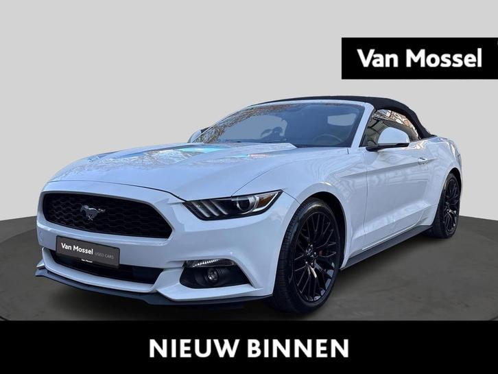 Ford Mustang 2.3i EcoBoost Cabriolet | Black Package | B&O, Autos, Ford, Entreprise, Achat, Mustang, Régulateur de distance, Air conditionné