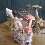 3 beaux grands champignons botaniques, Envoi