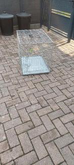 Honden Benches, Ophalen, Gebruikt